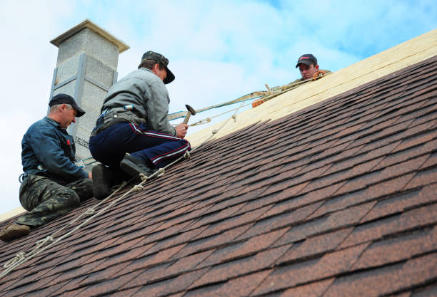 Roof Installation Near Me in Inverness, CA